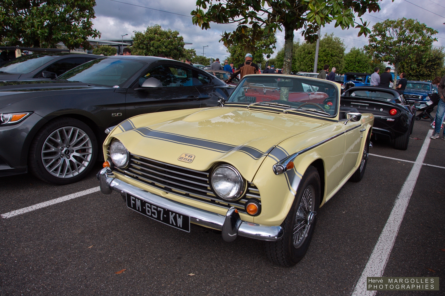 Triumph TR250 -02.jpg